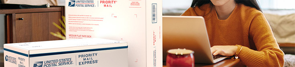 Woman on a laptop preparing to send a Priority Mail Express International® box and a Priority Mail International® box.