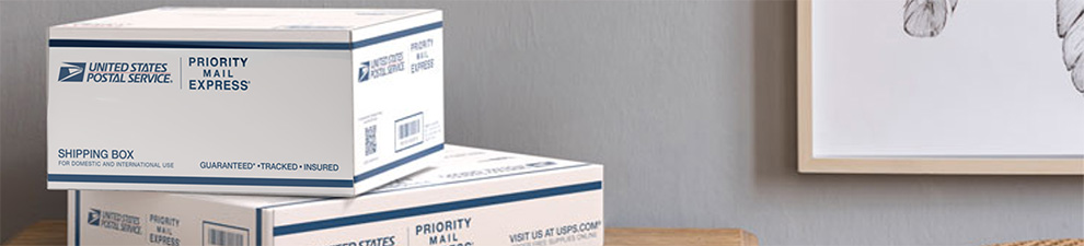 Dos cajas Priority Mail Express International® sobre una mesa.