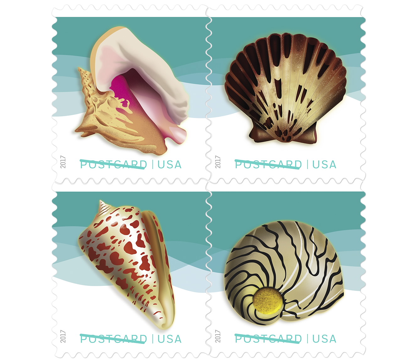 seashells-postcard-stamp