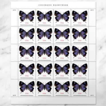 US Non-Machineable Rate Butterflies - Set of 4 Single Stamps 4999 5346 5136  5568