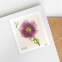 Fringed Tulip Stamps