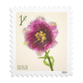 Fringed Tulip Stamps