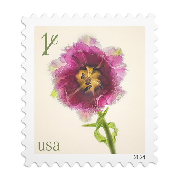 Fringed Tulip Stamps | USPS.com