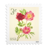 Peonies Stamps image