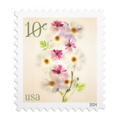 Poppies and Coneflowers Stamps image