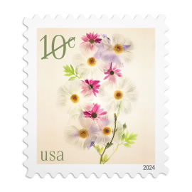 Poppies and Coneflowers Stamps
