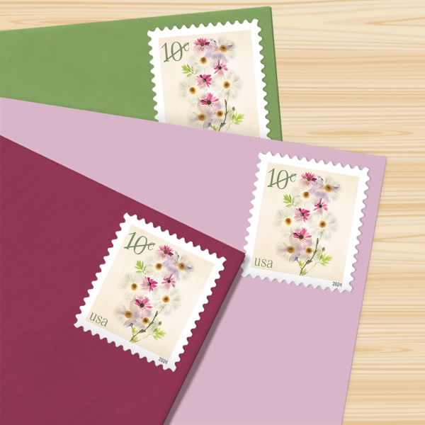 Poppies and Coneflowers Stamps