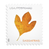 Vibrant Leaves Postcard Stamps image