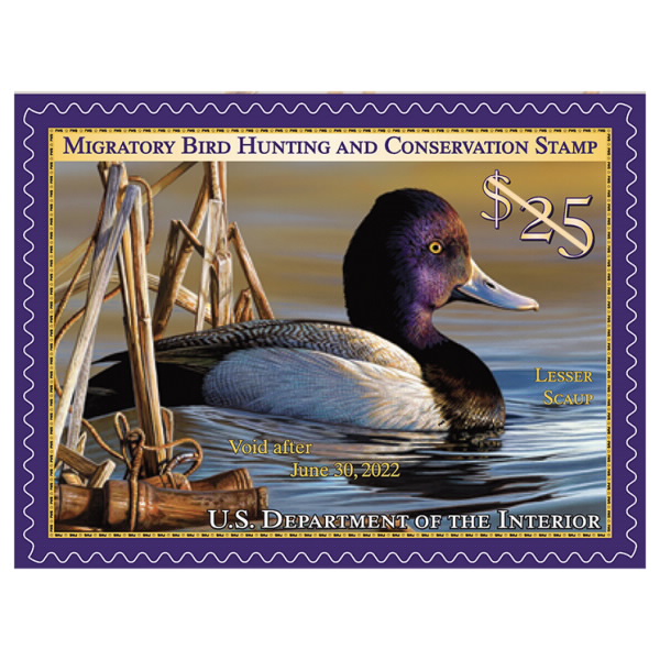 Migratory Bird Stamp 2021 2022