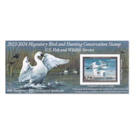 Tundra Swans 2023-2024 Souvenir Sheet