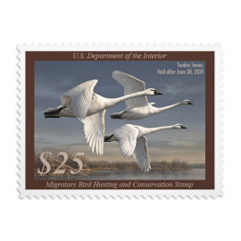 Tundra Swans 2023-2024 Stamps
