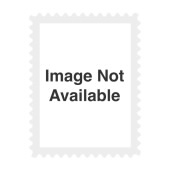Northern Pintail 2024-2025 Federal Duck Stamp Souvenir Sheet image
