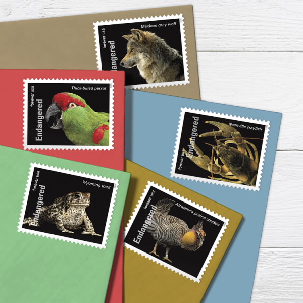 Endangered Species Stamps