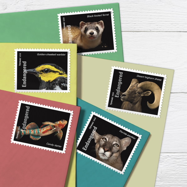 Endangered Species Stamps