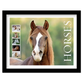 Horses Framed Stamps, Chestnut