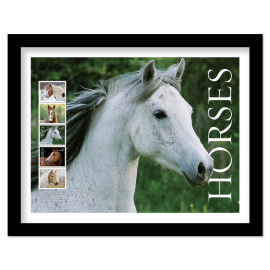 Horses Framed Stamps, Gray