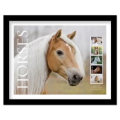 Horses Framed Stamps, Palomino image