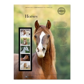 Horses American Commemorative Panel®