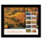 Autumn Colors Framed Stamp