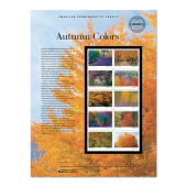 Autumn Colors American Commemorative Panel®  image