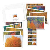 Autumn Colors Notecards image