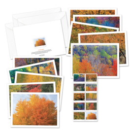 Autumn Colors Notecards