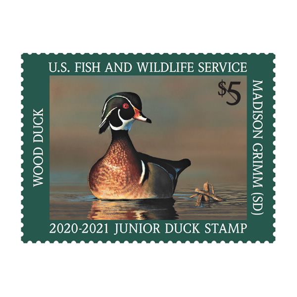 Junior Duck 2020 2021 Stamp USPS