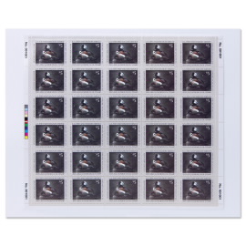 Junior Duck 2021-2022 Stamp, Hooded Mergansers