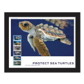 Protect Sea Turtles Framed Stamps, Loggerhead image