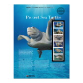 Protect Sea Turtles American Commemorative Panel® image