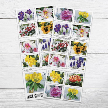USPS releases Cactus Flowers Forever stamps - Newsroom 