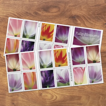 Tulips Blossom on New Forever Stamps - Newsroom 