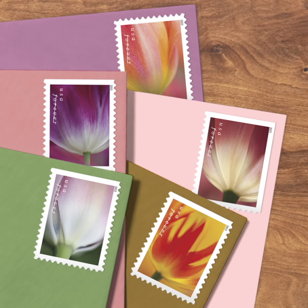 Tulip Blossoms Stamps