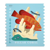 USPS Coral Reefs Postcard Coil of 100 First Class Forever Postcard Postage Stamps Sea (100 Stamps)
