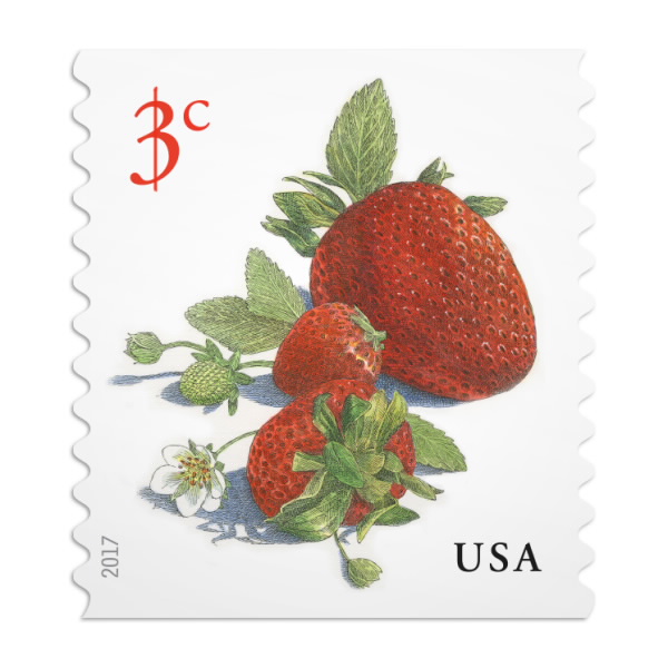 Strawberries 3 Cent Stamps USPS